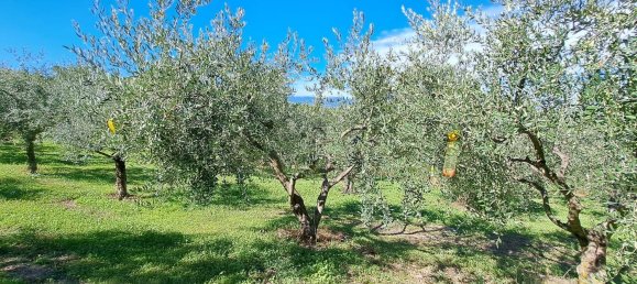 4000m² Land in Spoleto, Italy No. 113544 3