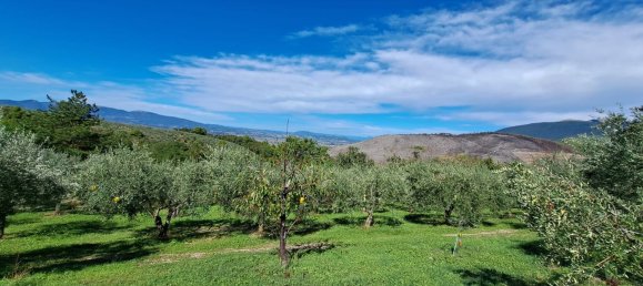 4000m² Land in Spoleto, Italy No. 113544 8