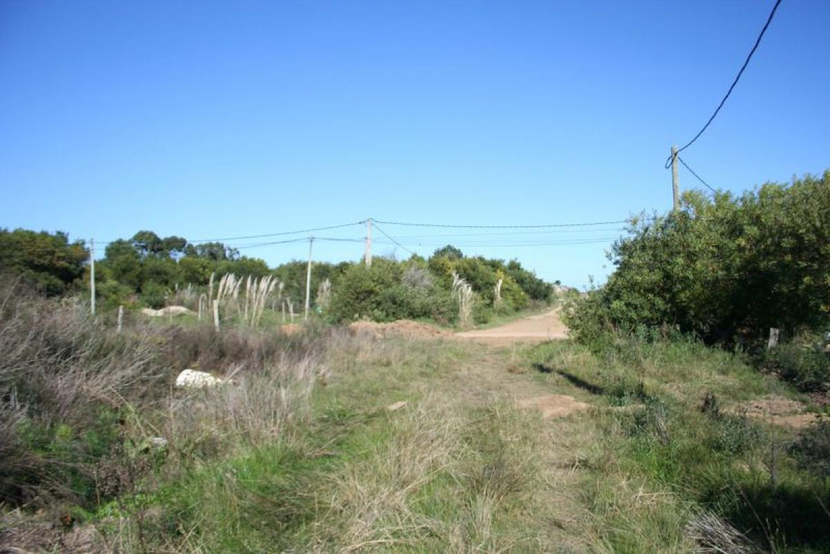 Grundstück in Maldonado, Uruguay, Nr. 14927