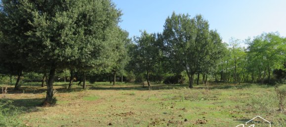 Grundstück in Montignargues, France, Nr. 104005 3