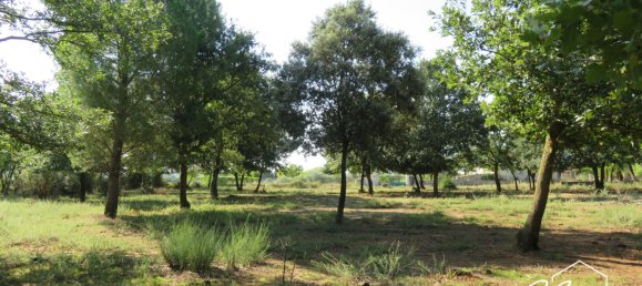 Grundstück in Montignargues, France, Nr. 104005 4