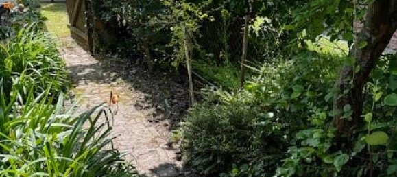 Bungalow de 6 divisões em Sommerda, Germany N.º 146418 14