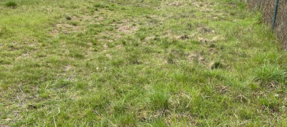 Terreno en Saarpfalz, Germany No. 333228 4