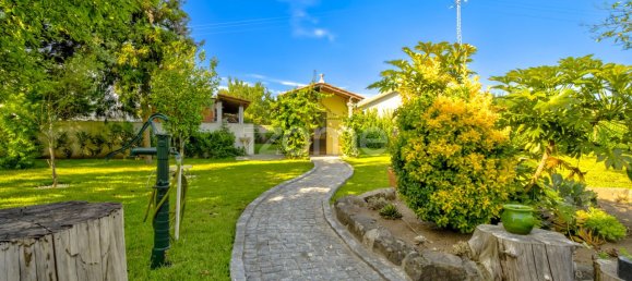 5 bedrooms House in Braga, Portugal No. 106859 39