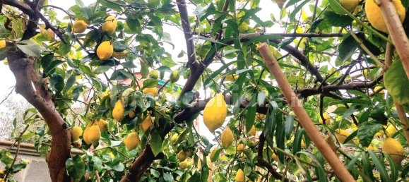 2 bedrooms Villa in Carrara, Italy No. 129493 2