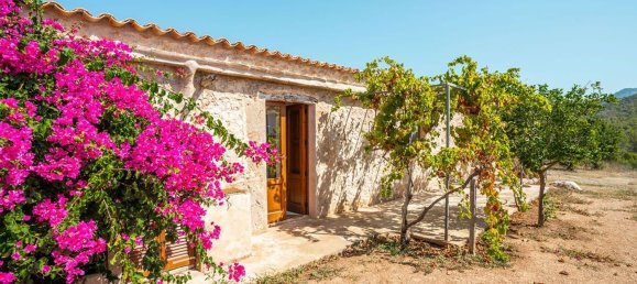 6 bedrooms House in Es Capdella, Spain No. 153436 23