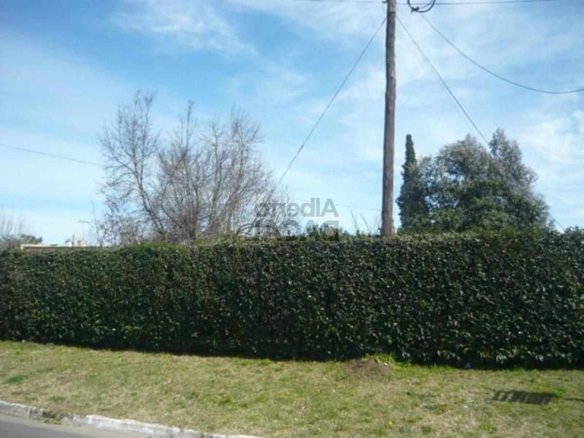  قطعة أرض في Campo Creado, Argentina رقم 34500