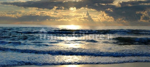 5 bedrooms Villa in Forte dei Marmi, Italy No. 189670 9