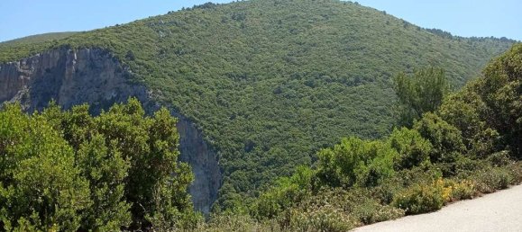  Hotel in Zakynthos, Greece No. 850 2