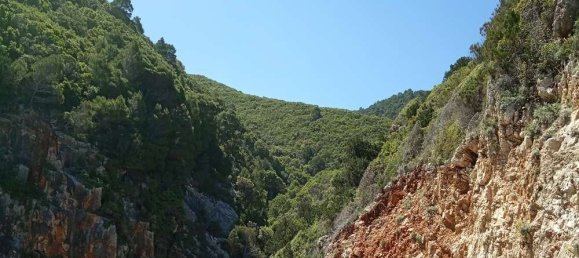  Hotel in Zakynthos, Greece No. 850 5