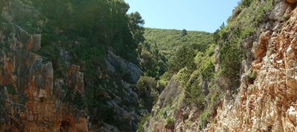  Hotel in Zakynthos, Greece No. 850 8