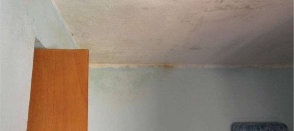 3 rooms Apartment in Plesio, Italy No. 6760 14