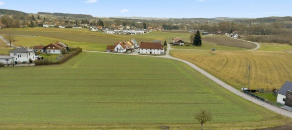  Land in Utzenaich, Austria No. 221672 2