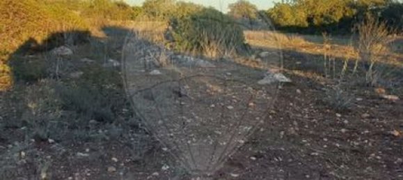 2280m² Land in Olhao, Portugal No. 38926 6