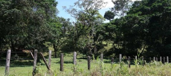  Land in Cariari, Costa Rica No. 1956 6