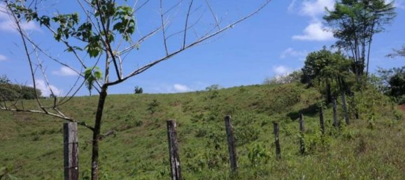  Land in Cariari, Costa Rica No. 1956 3