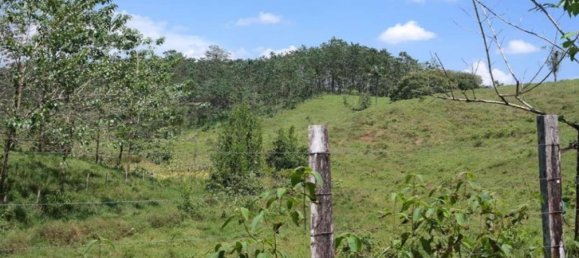  Land in Cariari, Costa Rica No. 1956 4