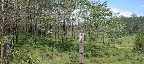  Land in Cariari, Costa Rica No. 1956 2