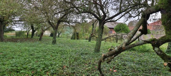 4 غرف نوم منزل في Saint-Germain, France رقم 225440 13