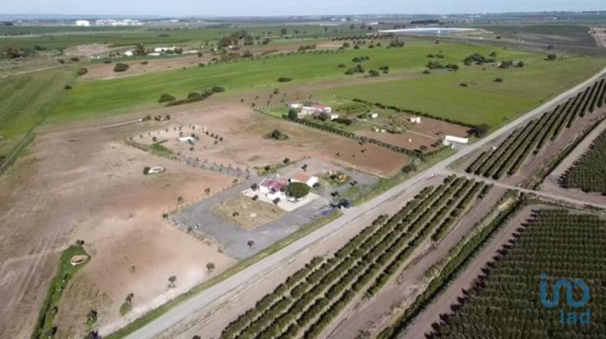 2 bedrooms House in Beja, Portugal No. 1281