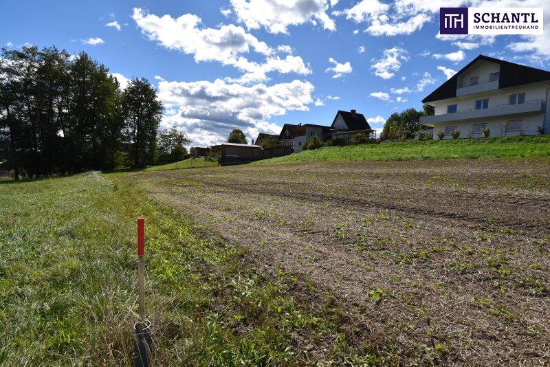 Terrain à Deutschlandsberg, Austria No. 213247