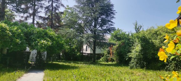  Land in Sollenau, Austria No. 227493 2