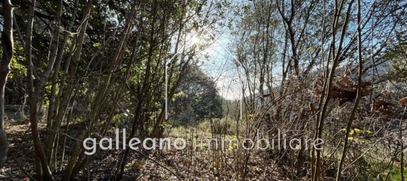  قطعة أرض في Varazze, Italy 1295متر مربع رقم 176681 11