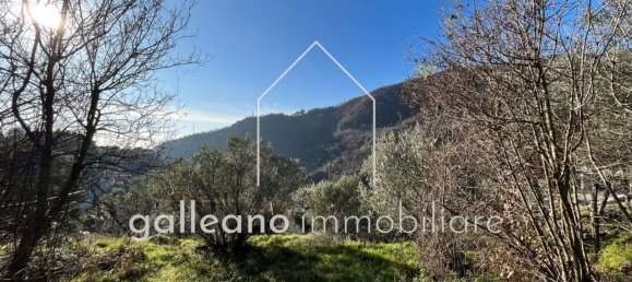  قطعة أرض في Varazze, Italy 1295متر مربع رقم 176681 14