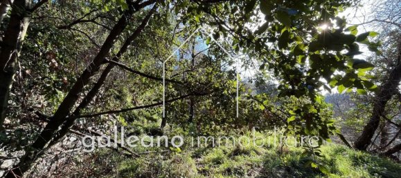  قطعة أرض في Varazze, Italy 1295متر مربع رقم 176681 9