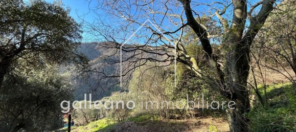  قطعة أرض في Varazze, Italy 1295متر مربع رقم 176681 8