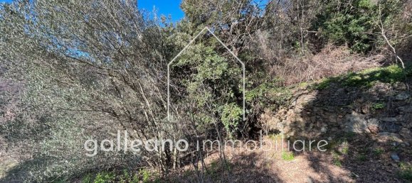  قطعة أرض في Varazze, Italy 1295متر مربع رقم 176681 6