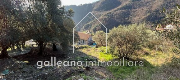  قطعة أرض في Varazze, Italy 1295متر مربع رقم 176681 10