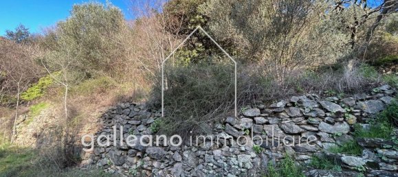  قطعة أرض في Varazze, Italy 1295متر مربع رقم 176681 7