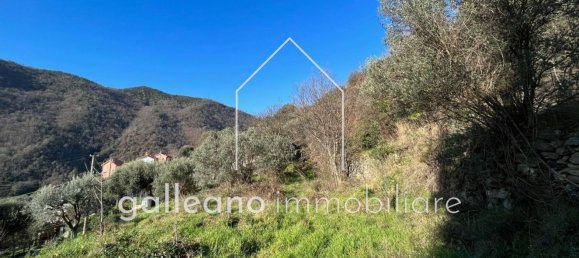  قطعة أرض في Varazze, Italy 1295متر مربع رقم 176681 13