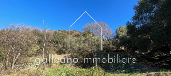  قطعة أرض في Varazze, Italy 1295متر مربع رقم 176681 17