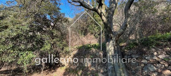  قطعة أرض في Varazze, Italy 1295متر مربع رقم 176681 5