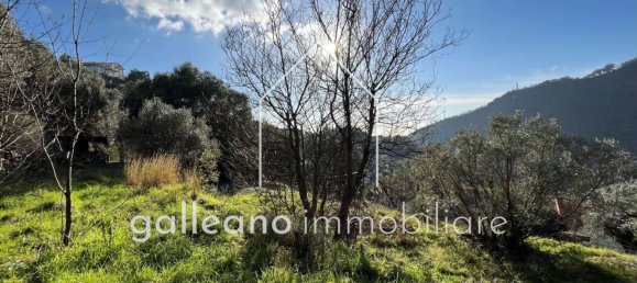  قطعة أرض في Varazze, Italy 1295متر مربع رقم 176681 3