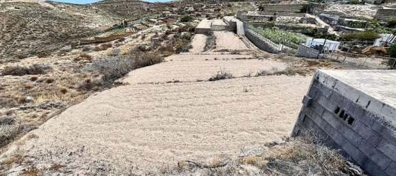 423m² Land in Guimar, Spain No. 162111 6