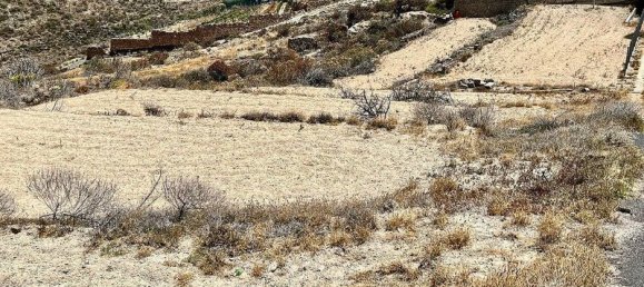423m² Land in Guimar, Spain No. 162111 18