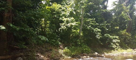 40469m² Hotel in Calibishie, Dominica No. 51 2