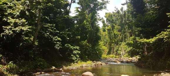 40469m² Hotel in Calibishie, Dominica No. 51 3