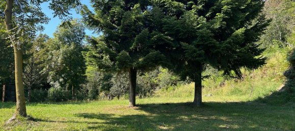 20-Zimmer Haus in San Bernardino Verbano, Italy, Nr. 46593 13