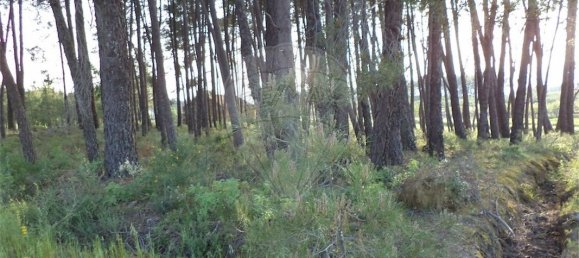 9 chambres Maison à Fundao, Portugal No. 74625 39