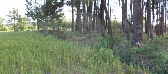 9 chambres Maison à Fundao, Portugal No. 74625 40