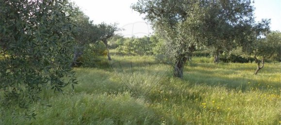 9 chambres Maison à Fundao, Portugal No. 74625 35