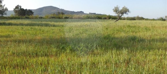 9 chambres Maison à Fundao, Portugal No. 74625 26