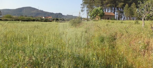 9 chambres Maison à Fundao, Portugal No. 74625 12