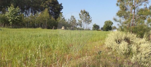 9 chambres Maison à Fundao, Portugal No. 74625 20