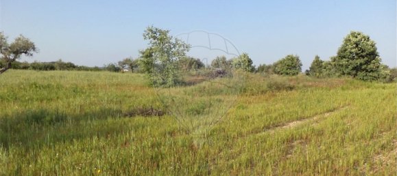 9 chambres Maison à Fundao, Portugal No. 74625 27