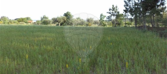 9 chambres Maison à Fundao, Portugal No. 74625 41